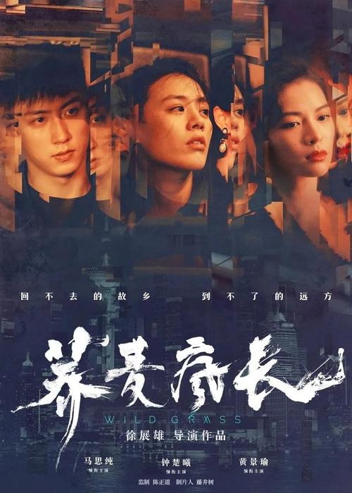 怎么购买西南大学成绩单
